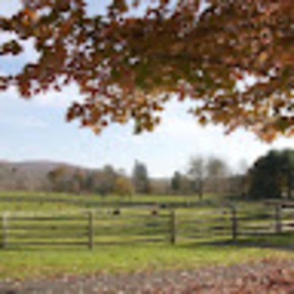 Meet your Posher, Maricela - Picture 1 of 1